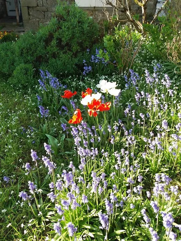 Ellias Bed & Breakfast Pont-l'Abbe 0*,  France